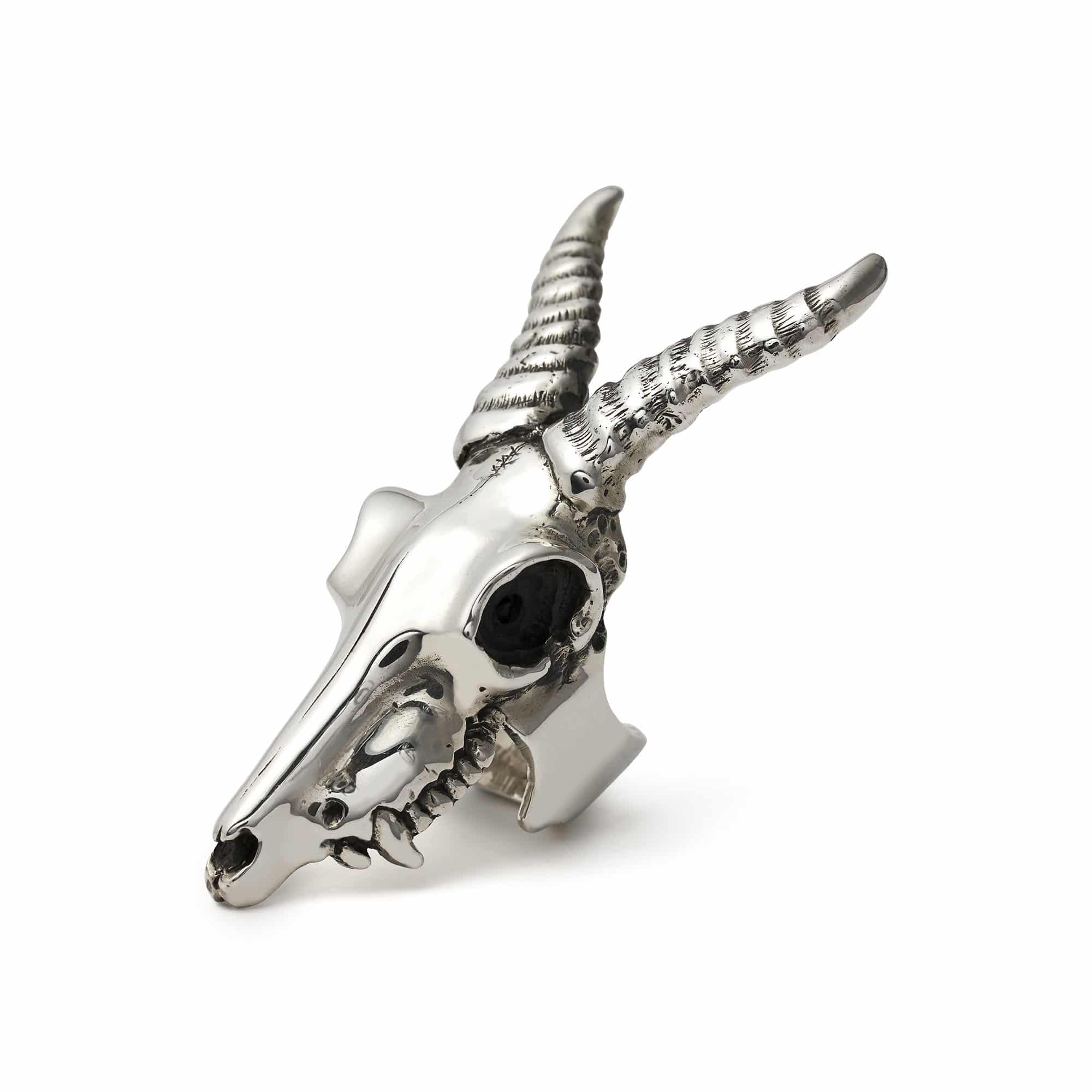 large-kudu-skull-angled
